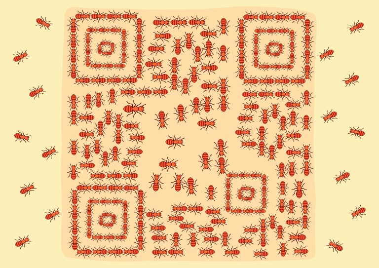 74145b68 milhad rdka6zjwmga unsplash scaled