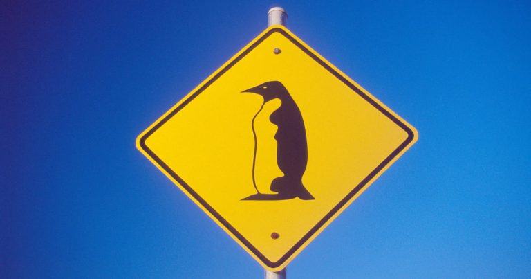 Penguin sign Gareth McCormack Alamy