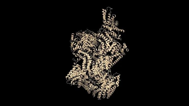 biomolecule 1