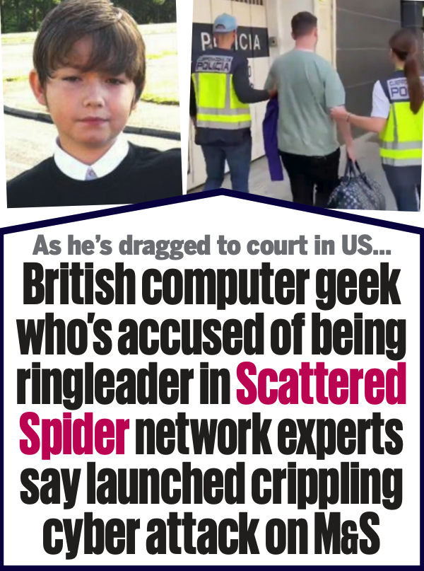 dailymail tylerb
